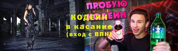 прущие грибы Покровск